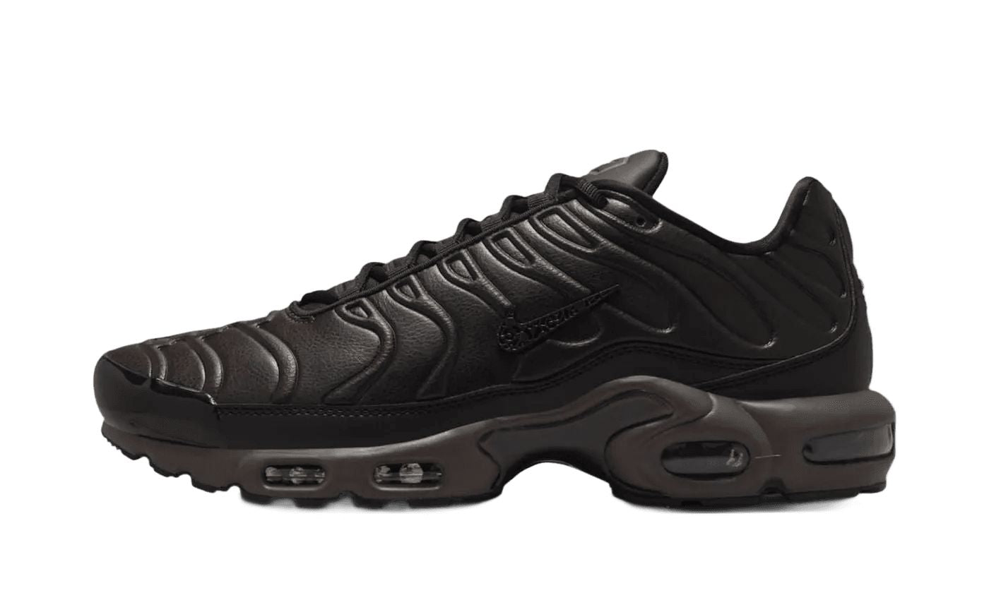 Nike Air Max Plus Premium Paris