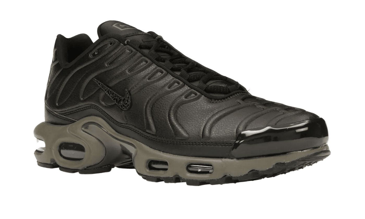 Nike Air Max Plus Premium Paris