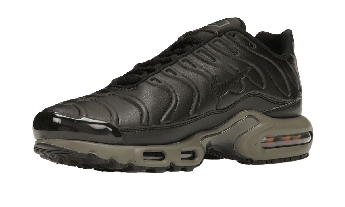 Nike Air Max Plus Premium Paris