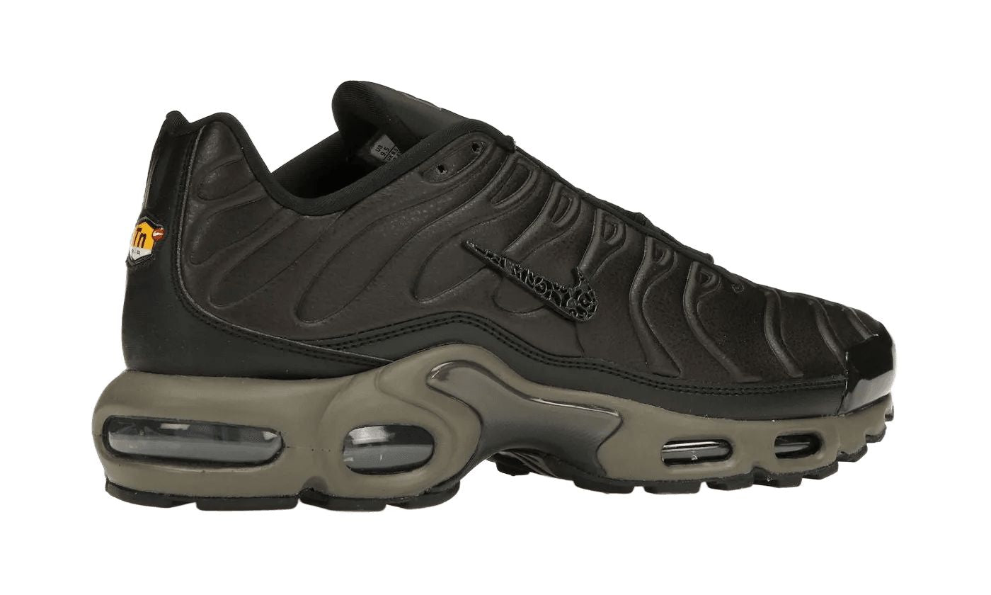 Nike Air Max Plus Premium Paris