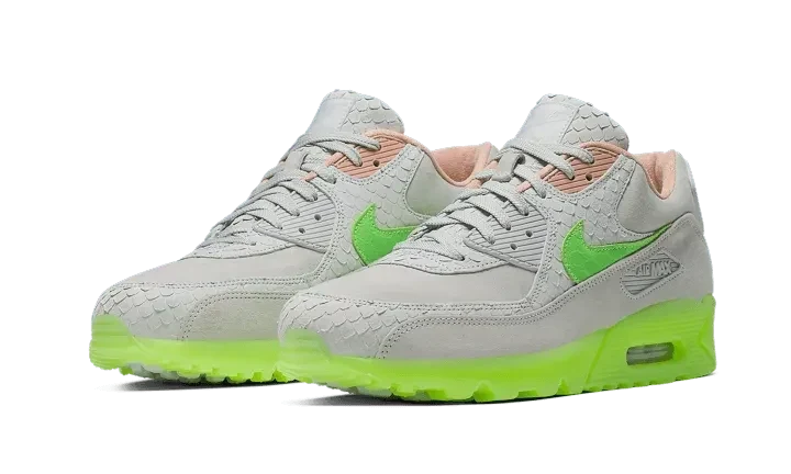 Nike Air Max 90 New Species