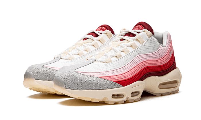 Nike Air Max 95 Anatomy of Air