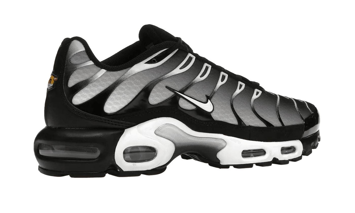 Nike Air Max Plus Black Silver White