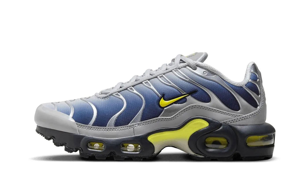 Nike Air Max Plus Obsidian Silver