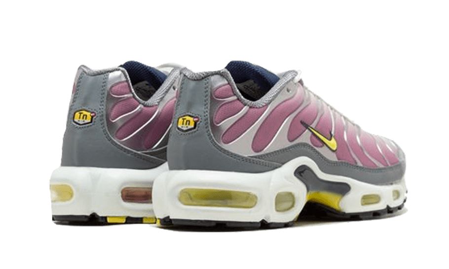Nike Air Max Plus Violet Dust