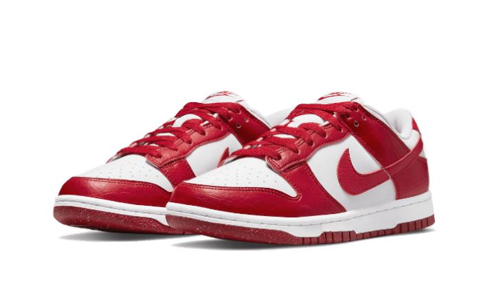 Nike Dunk Low Next Nature Gym Red