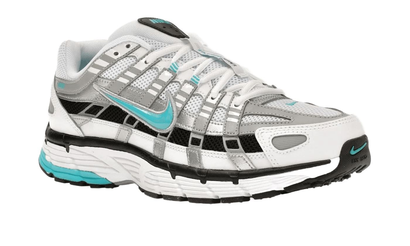 P-6000 Dusty Cactus