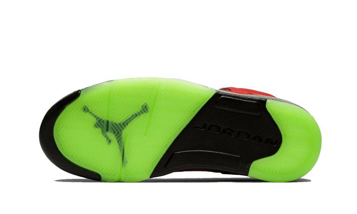Air Jordan 5 Retro What The