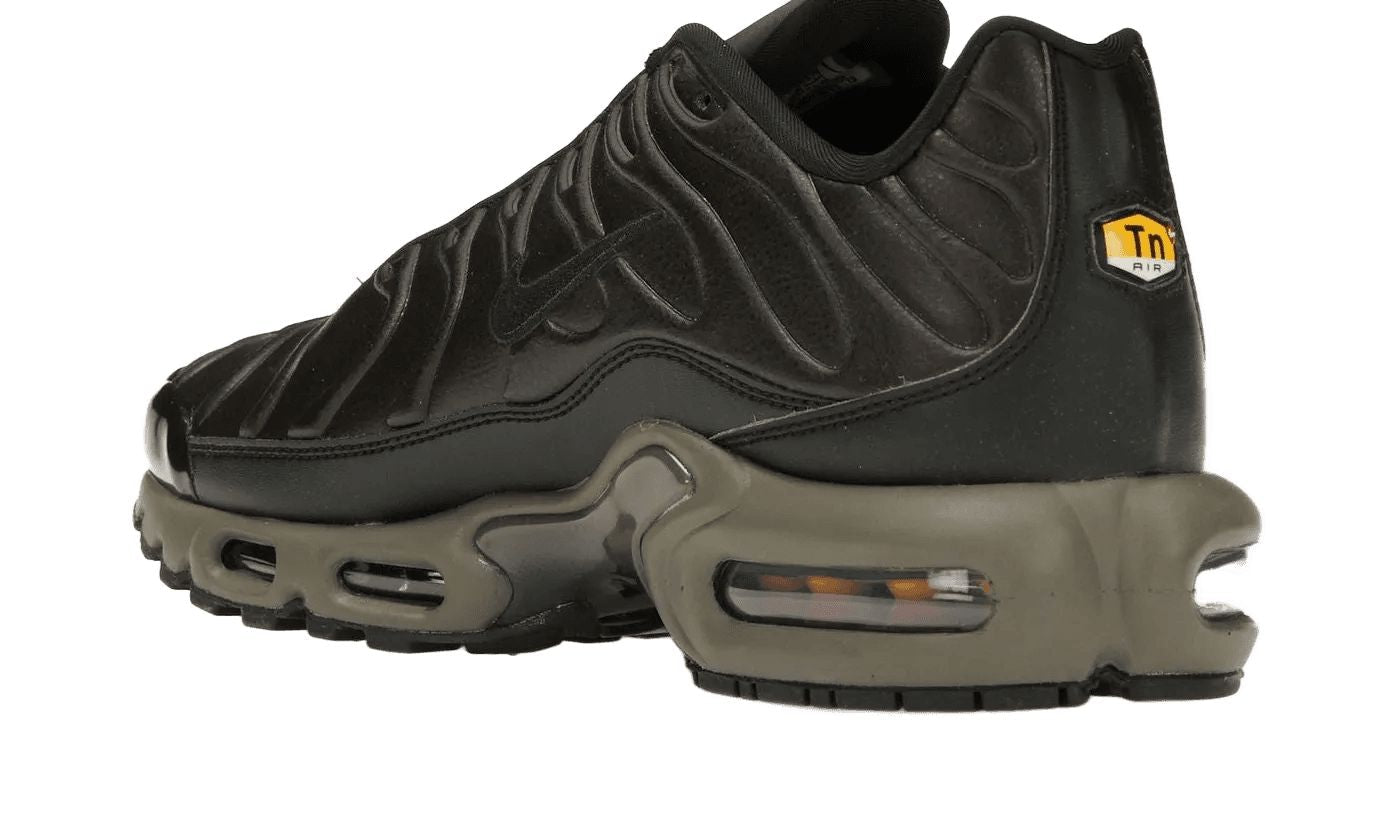 Nike Air Max Plus Premium Paris