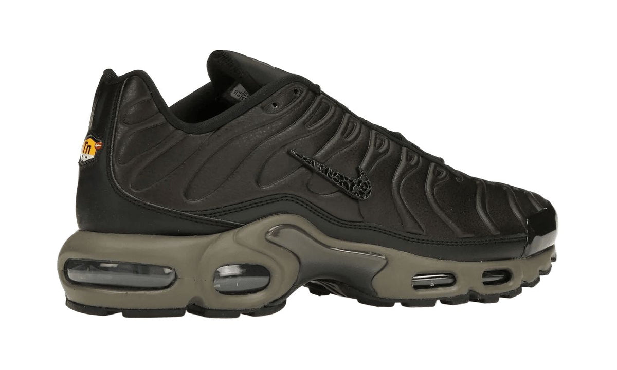 Nike Air Max Plus Premium Paris