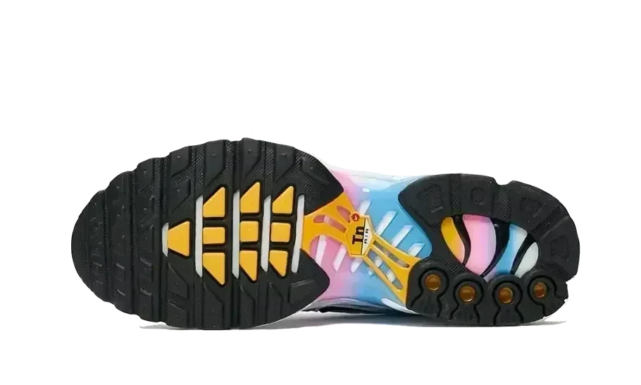 Air Max Plus Summer Gradient