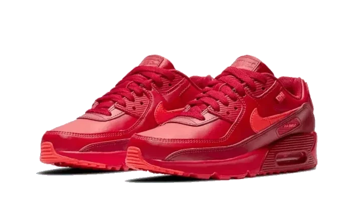 Nike Air Max 90 Chi-City Special