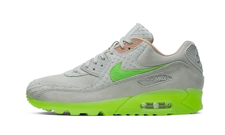 Nike Air Max 90 New Species