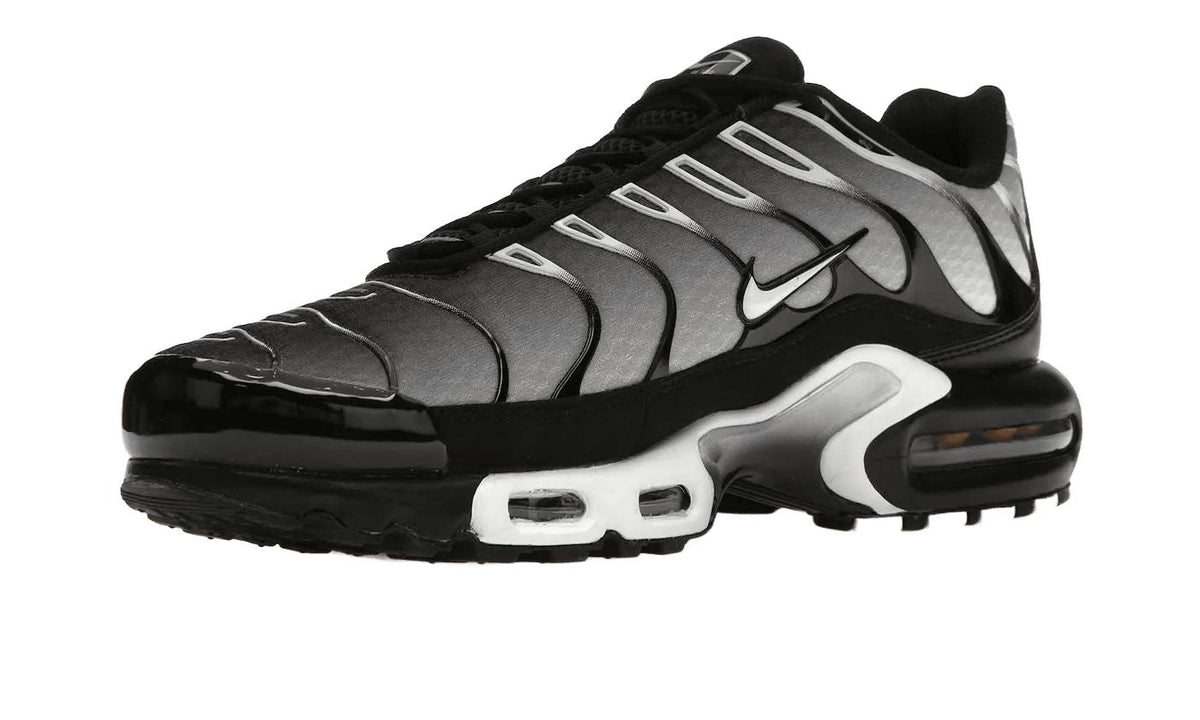 Nike Air Max Plus Black Silver White