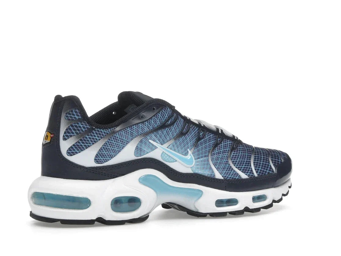 Nike Air Max Plus Dark Obsidian