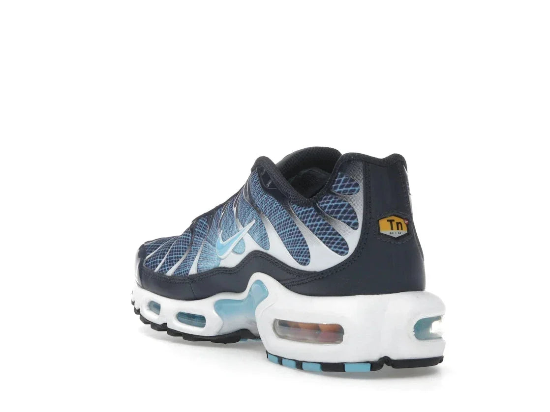 Nike Air Max Plus Dark Obsidian