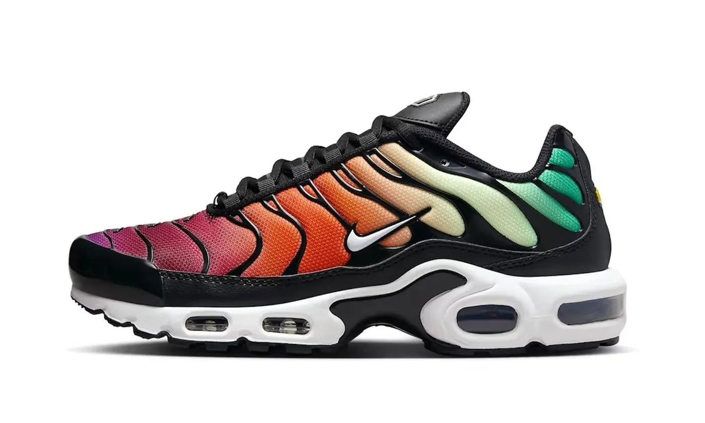 Nike Air Max Plus Rainbow