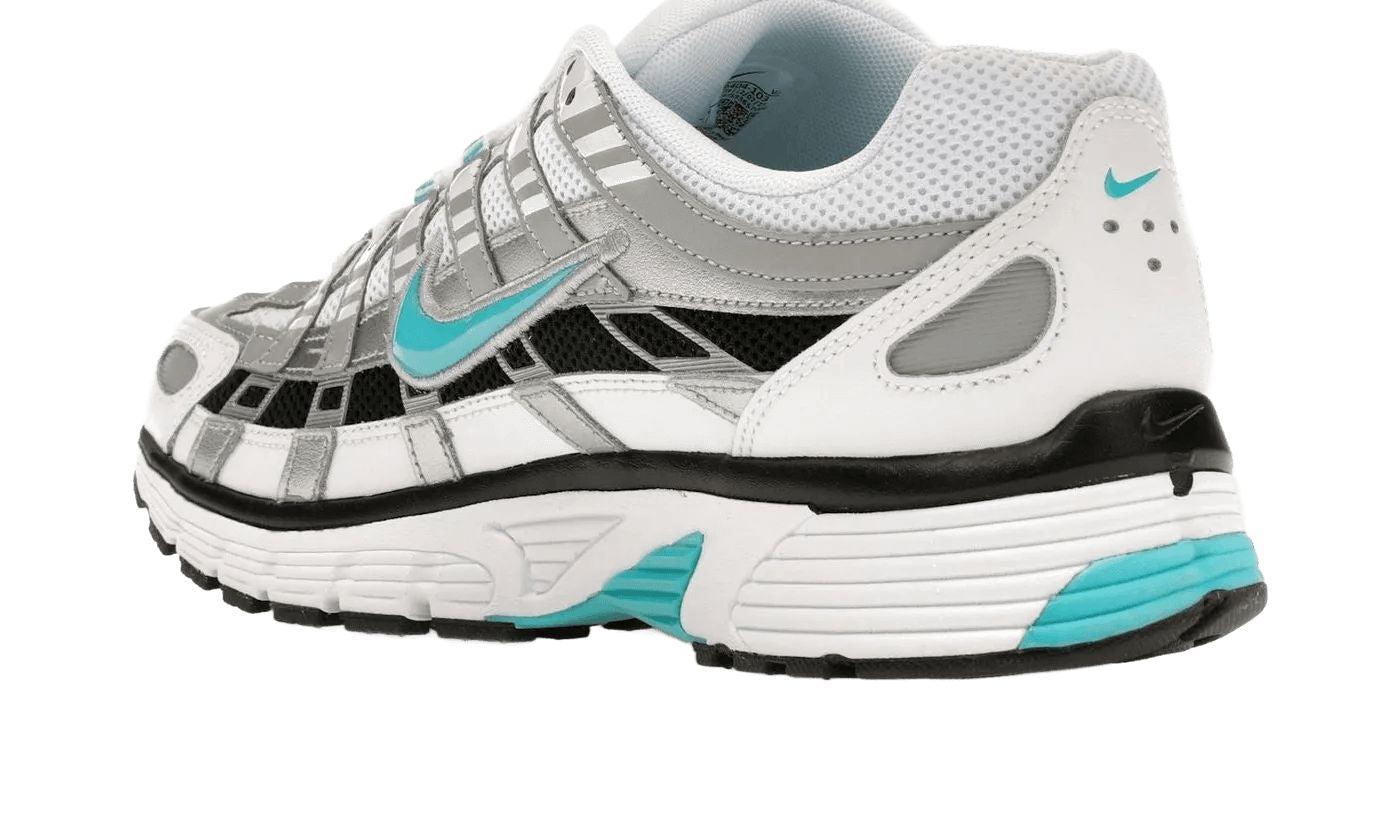 P-6000 Dusty Cactus