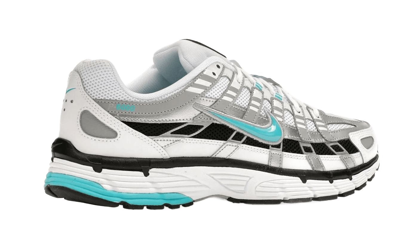 P-6000 Dusty Cactus